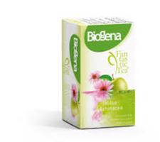 Biogena Fantastic Tea Jablko a Echinacea 20 x 2 g