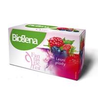 Biogena Fantastic Tea Lesní plody 20 sáčků
