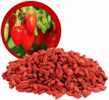 Lifefood Goji sušené BIO RAW 500 g