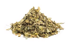 MORINGA LISTY - bylina, 10g