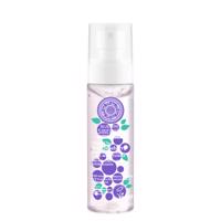 Natura Siberica Anti-OX Wild Blueberry Hydratační pleťová mlha tonikum 100 ml